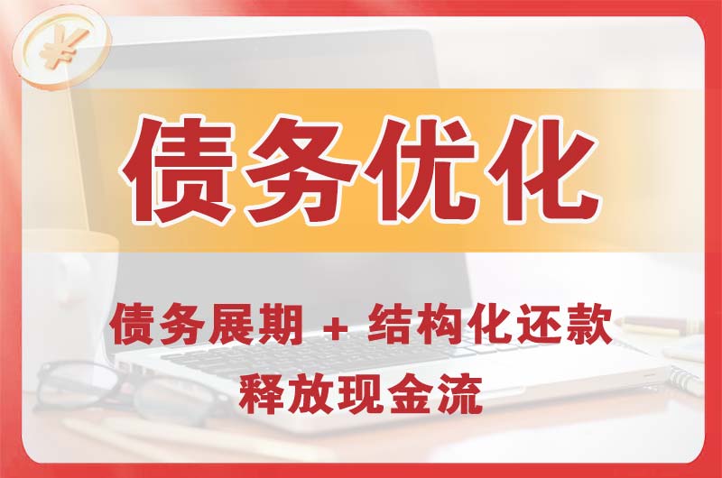 眉山债务优化