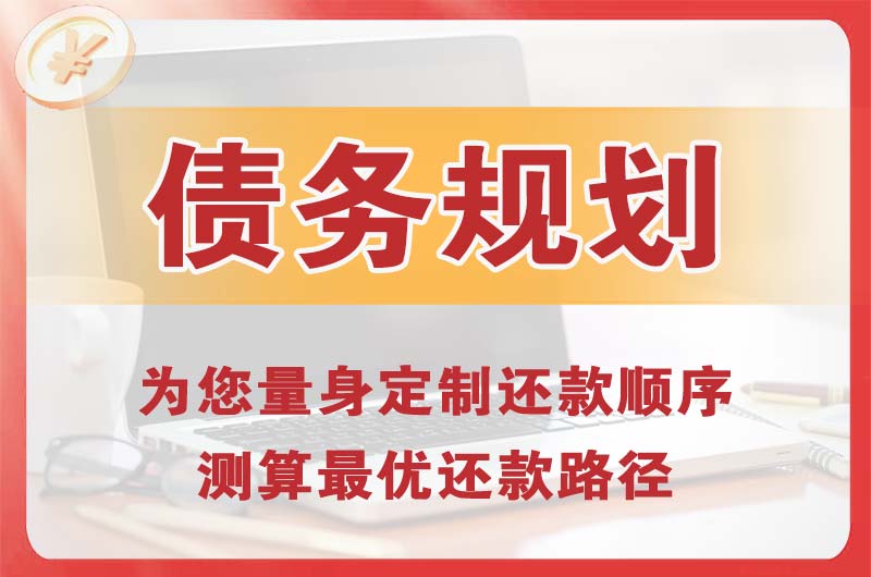 眉山债务规划